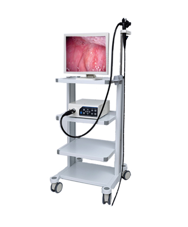 Veterinary Endoscope; Gastroscope; GongJiang Endoscope